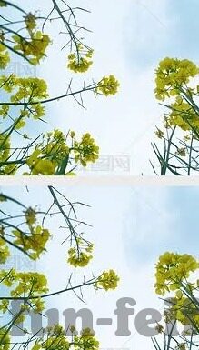 九游app切换账号-九游APP账号切换，简便流程与多重优势分析